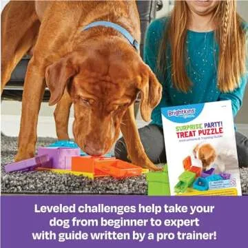 Brightkins Surprise Party Treat Puzzle - Interactive Treat Puzzle for Dogs, Toys for Dog Stimulation, Dog Puzzle Feeder, Dog Birthday Toy for All Breeds Small