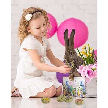 Sofier 12Pcs Timothy Hay Treats for Small Animals