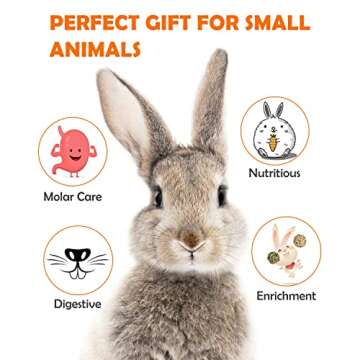 Sofier 12Pcs Timothy Hay Treats for Small Animals