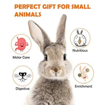 Sofier 12Pcs Timothy Hay Treats for Small Animals