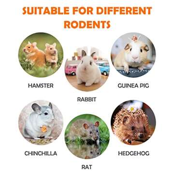 Sofier 12Pcs Timothy Hay Treats for Small Animals