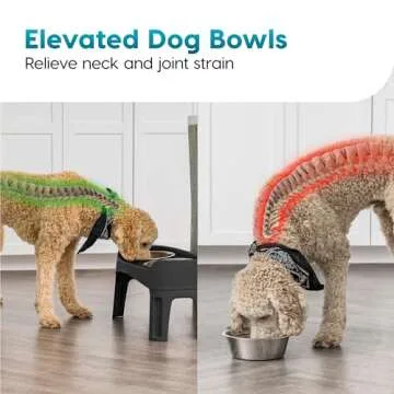 IRIS USA Elevated Dog Bowls, Adjustable Height, 2 Thick 64 oz Stainless Steel Bowls, Spill-Proof with Raised Outer Rim, Durable Made in USA Plastic, Easy Assemble, 2 Heights 4.63" or 12.25" Black