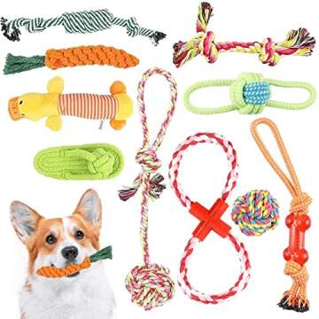 Jeefome 20pack Puppy Toys/Puppy Chew Toys for Teething/Dog Toys for Small Dogs/Puppy Toys for Teething Small Dogs/Dog Toy Pack/Squeaky Dog Toys/Plush Dog Toys/Interactive Dog Rope Toys……