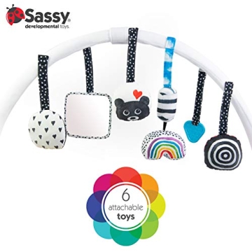Sassy Stages Sensory Play Gym for Infants and Toddlers