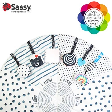 Sassy Stages Sensory Play Gym for Infants and Toddlers