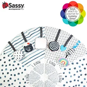 Sassy Stages Sensory Play Gym for Infants and Toddlers
