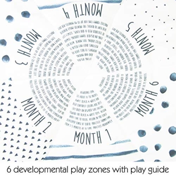 Sassy Stages Sensory Play Gym for Infants and Toddlers