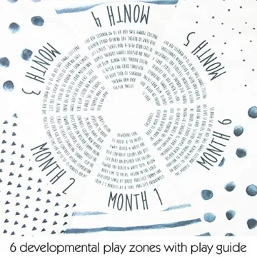 Sassy Stages Sensory Play Gym for Infants and Toddlers