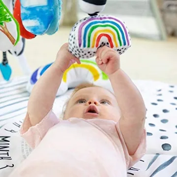 Sassy Stages Sensory Play Gym for Infants and Toddlers