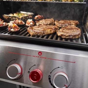 Weber Genesis E-415 Grill for Perfect Outdoor Cooking
