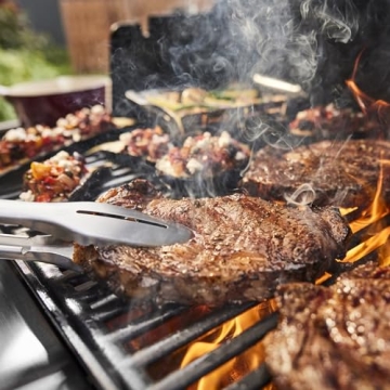 Weber Genesis E-415 Grill for Perfect Outdoor Cooking