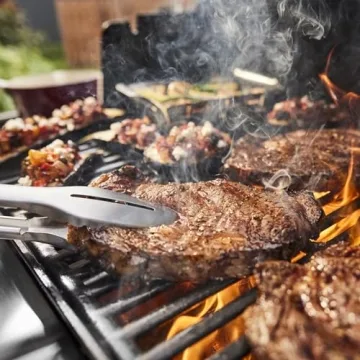 Weber Genesis E-415 Grill for Perfect Outdoor Cooking