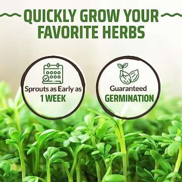 Rooted Acre Herb Seed Vault - 3100+ Non-GMO Seeds