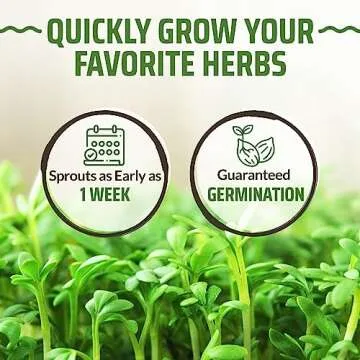 Rooted Acre Herb Seed Vault - 3100+ Non-GMO Seeds