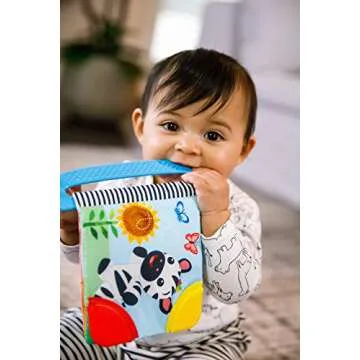 Baby Einstein Curious Explorers Teether Book Take-Along Toy, Ages Newborn +, Multicolored
