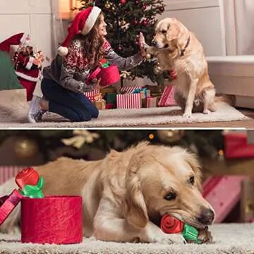 Durable Rose Dog Toy for Aggressive Chewers