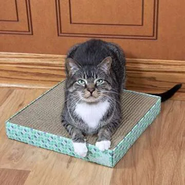 Kitty City XL Wide Corrugate Cat Scratchers 3 Pieces, Cat Scratching, Cat Scratch Pad, Door Clips, Furniture Protectors from Cat Scratching