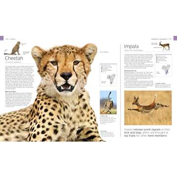 Wildlife of the World