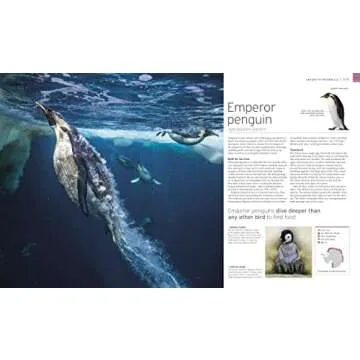 Wildlife of the World