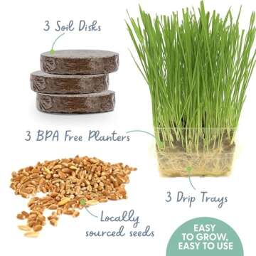 The Cat Ladies Cat Grass for Indoor Cats - Growing Kit - Organic Cat Grass Seeds, Soil and BPA Free ...