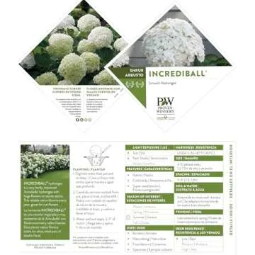 5 Gallon Proven Winners Incrediball Hydrangea Shrub