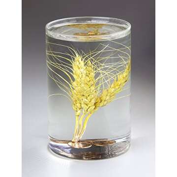 EcoPoxy - Liquid Plastic (1, 6 Liter - 2:1 Mix)