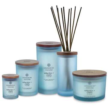 Chesapeake Bay Candle Scented Candle, Reflection + Clarity (Sea Salt Sage), Medium, Home Décor