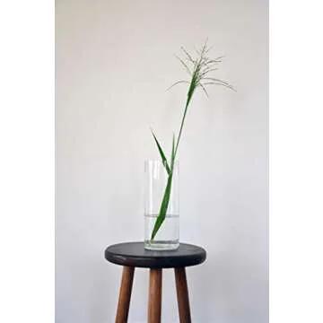 WGV Clear Glass Cylinder Vase for Elegant Home Decor