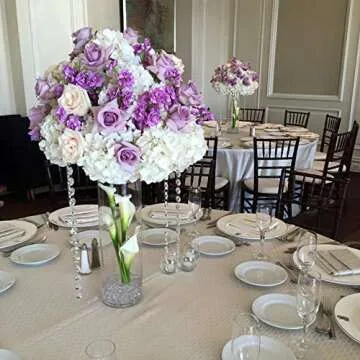 WGV Clear Glass Cylinder Vase for Elegant Home Decor