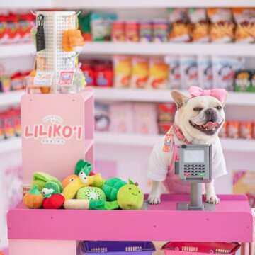 Nocciola Small Dog Toys- 15 Pack Grocery Bag Fruits and Veggies Dog Squeaky Toys, Small Puppy Toys to Keep Them Busy, Durable Plush Toys for Medium Dogs Aggressive Chewers, Dog Accessories Girl