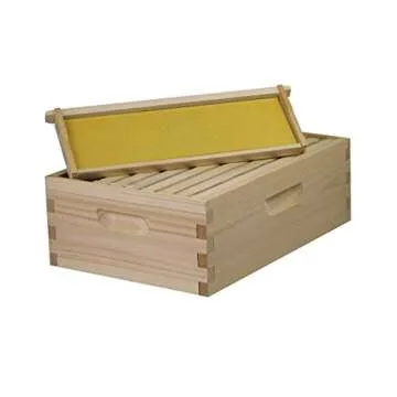 Amish Made in USA Complete 8 Frame Langstroth Bee Hive includes Frames and Foundations (2 Deep, 1 Medium)