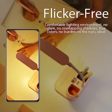 Cute Pink Rechargeable Desk Lamp with USB Charging Port