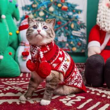KOOLTAIL Cat Christmas Sweater and Scarf Set Holiday Outfit with Elk Snowflakes Pattern Winter Warm Clothes for Cats Kitten Small Dogs Puppy