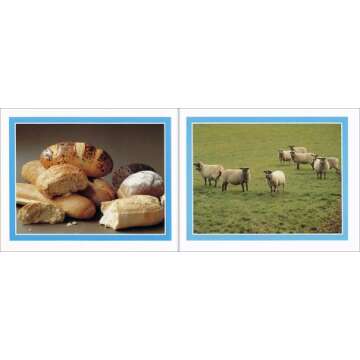 More, Fewer, Less: A Colorful Introduction to Early Math Concepts