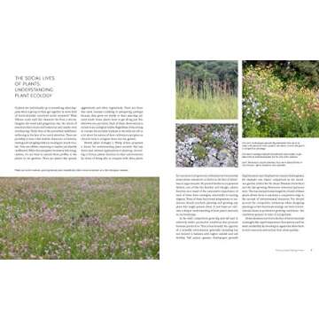 New Naturalism: Designing and Planting a Resilient, Ecologically Vibrant Home Garden