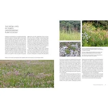 New Naturalism: Designing and Planting a Resilient, Ecologically Vibrant Home Garden