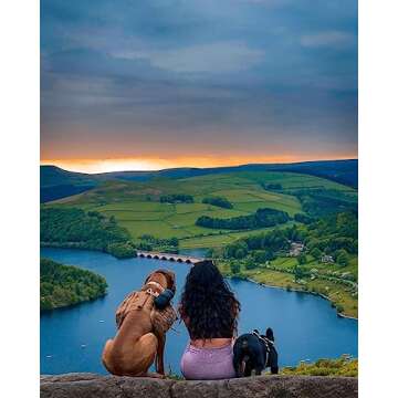 lesotc Dog Water Bottle, Portable Dog Water Dispenser, Leak Proof Dog Travel Water Bottle Squeeze Pet Water Bottle with Bowl for Outdoor Walking, Hiking, Travel, BPA-Free, Lightweight