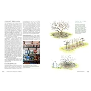 The Fruit Gardener's Bible for Home Gardening