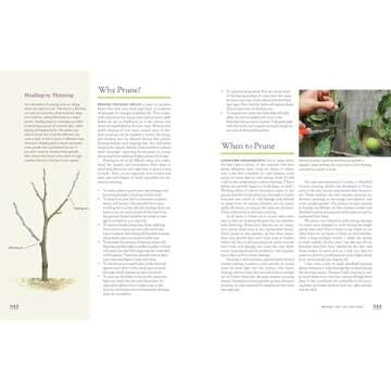 The Fruit Gardener's Bible for Home Gardening
