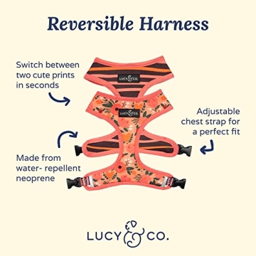 Lucy & Co. Reversible Dog Harness Walking Halter - Best Designer Pet Harnesses for Extra Small Mediu...