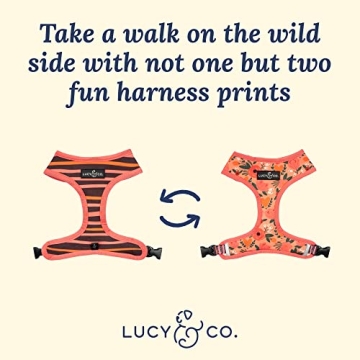 Lucy & Co. Stylish Reversible Dog Harness for All Breeds