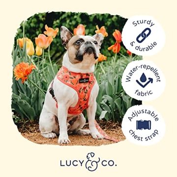 Lucy & Co. Stylish Reversible Dog Harness for All Breeds