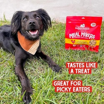 Stella & Chewy's Freeze Dried Raw Chicken Meal Mixers