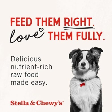Stella & Chewy's Freeze Dried Raw Chicken Meal Mixers