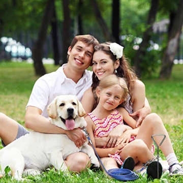 Heavy Duty Dog Tie Out Cable Anti-Rust Spiral Stake 30ft