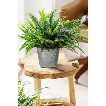 Briful Galvanized Buckets for Chic Home Decor