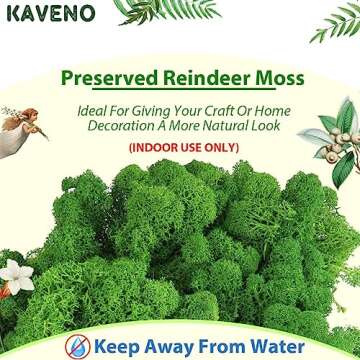 Stardom Moss Preserved, Green Moss for Fairy Gardens, Terrariums, Any Craft or Floral Project or Wed...