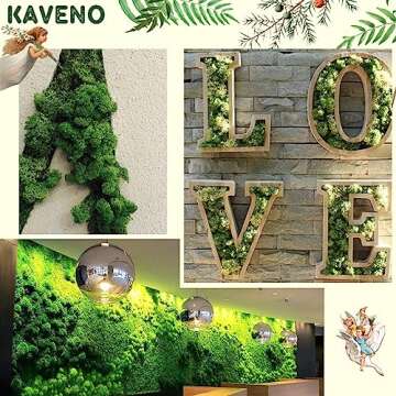 Stardom Moss Preserved, Green Moss for Fairy Gardens, Terrariums, Any Craft or Floral Project or Wedding Other Arts (Green, 3OZ)