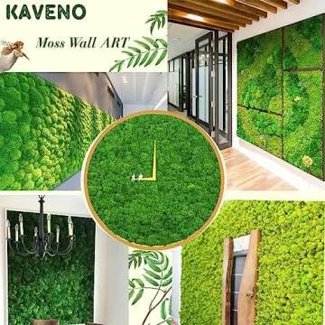 Stardom Moss Preserved, Green Moss for Fairy Gardens, Terrariums, Any Craft or Floral Project or Wedding Other Arts (Green, 3OZ)