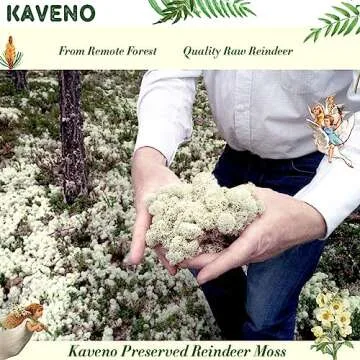 Stardom Moss Preserved, Green Moss for Fairy Gardens, Terrariums, Any Craft or Floral Project or Wedding Other Arts (Green, 3OZ)